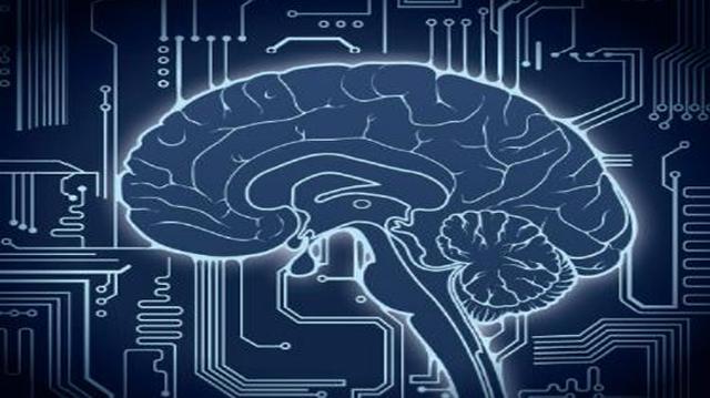 網紅送餐機器人 智能表象下的“無人”困境與自動駕駛的深層挑戰