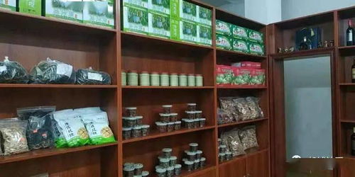 船埔綠品源商行 深耕山區，品味自然與醇香的交匯